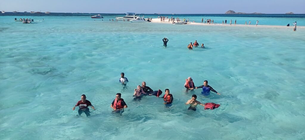 pink beach snorkeling