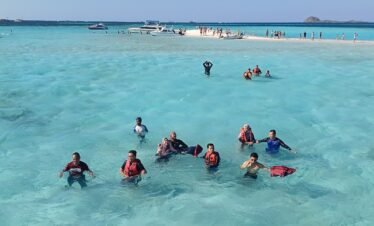 pink beach snorkeling